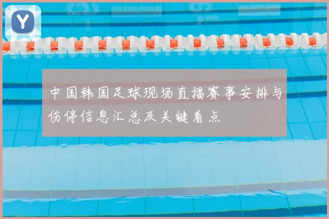 中国韩国足球现场直播赛事安排与伤停信息汇总及关键看点
