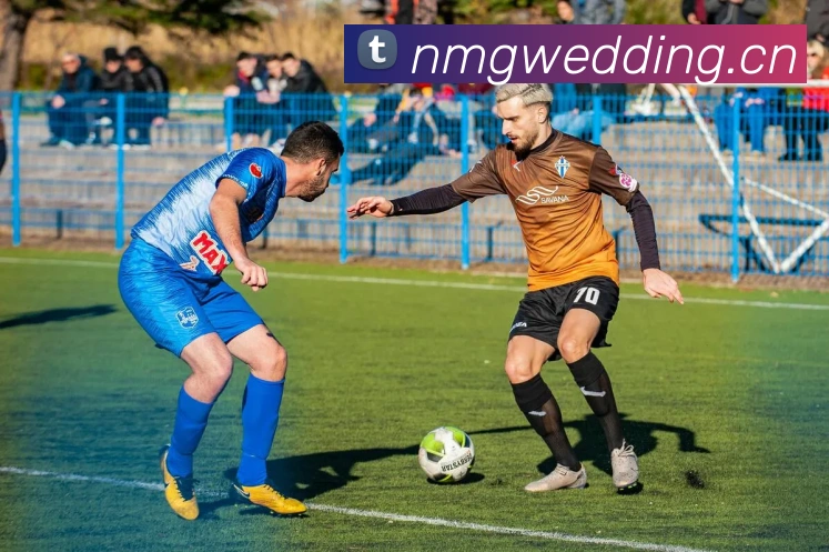 mksports平台最新公告服务体系